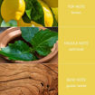 Picture of H&H FRAGRANCE DIFFUSER PATCHOULI & GUAIAC WOOD 70ML DIFFUSER
